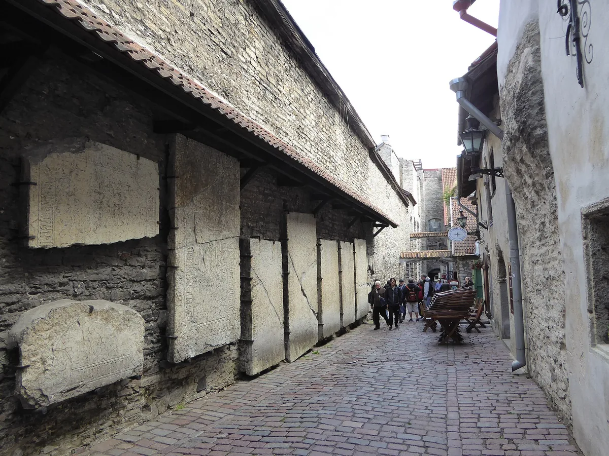 Local guide leading visitors through Tallinn's medieval streets